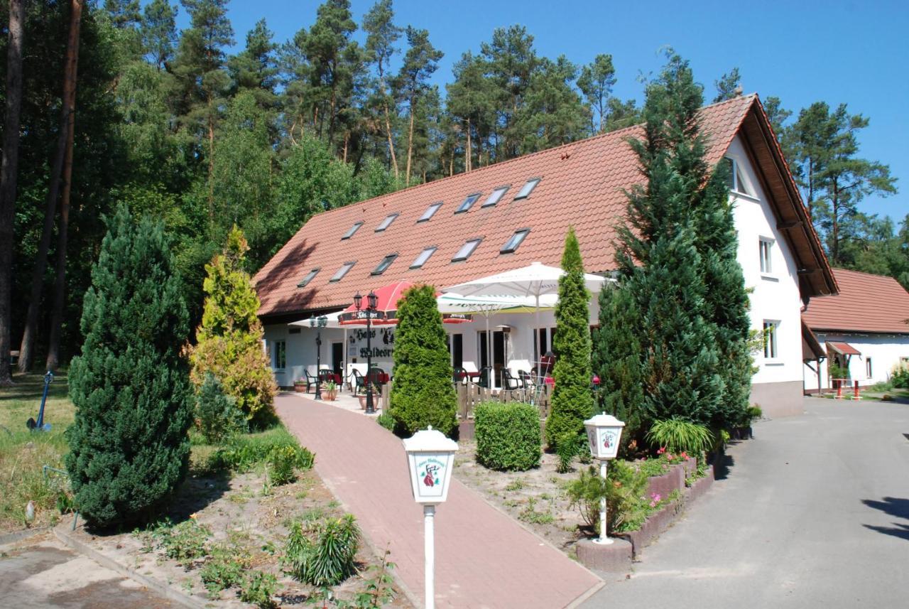 Haus Waldesruh Hotel Petersdorf  Ngoại thất bức ảnh